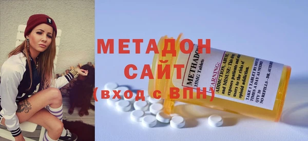 прущие грибы Вязьма