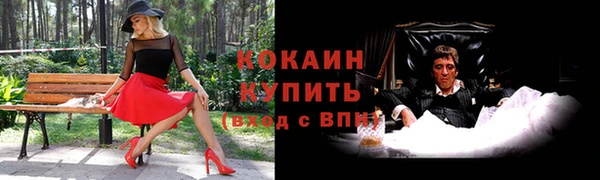 прущие грибы Вязьма