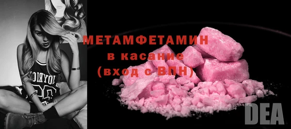 прущие грибы Вязьма