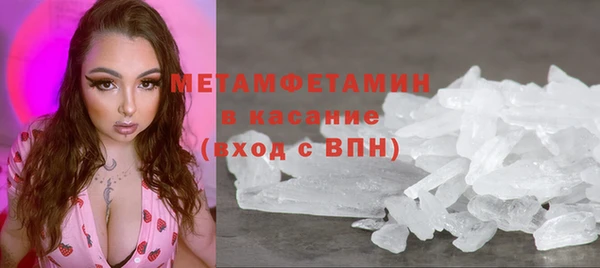прущие грибы Вязьма