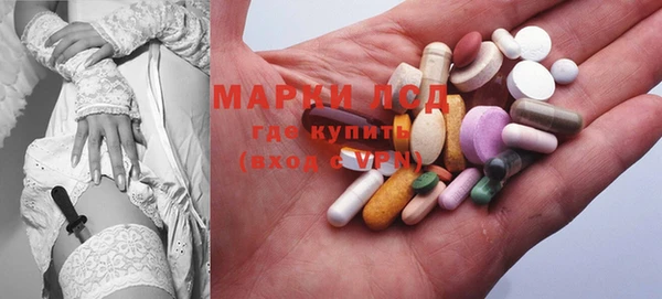 прущие грибы Вязьма