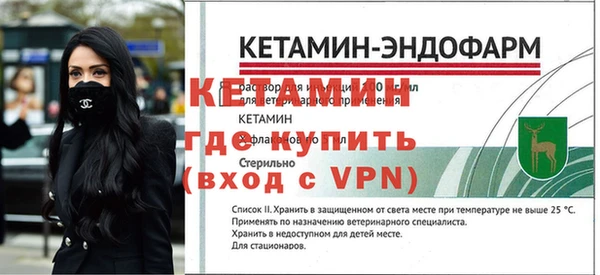 прущие грибы Вязьма