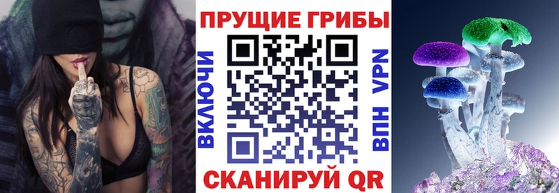 Псилоцибиновые грибы мицелий  kraken как войти  Зубцов  как найти закладки 