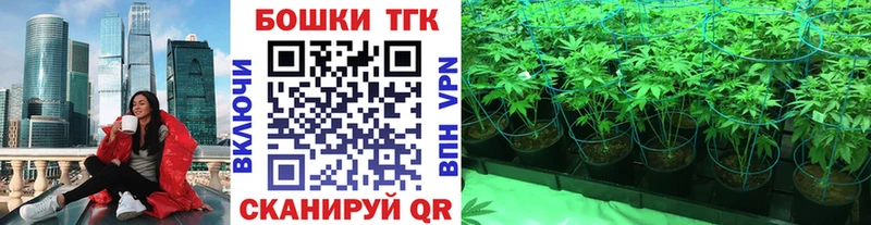купить закладку  Зубцов  Бошки марихуана LSD WEED 